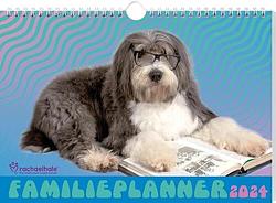Foto van Rachael hale honden familieplanner - 2024 - spiraalgebonden (9789464325652)