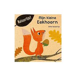 Foto van Mijn kleine eekhoorn