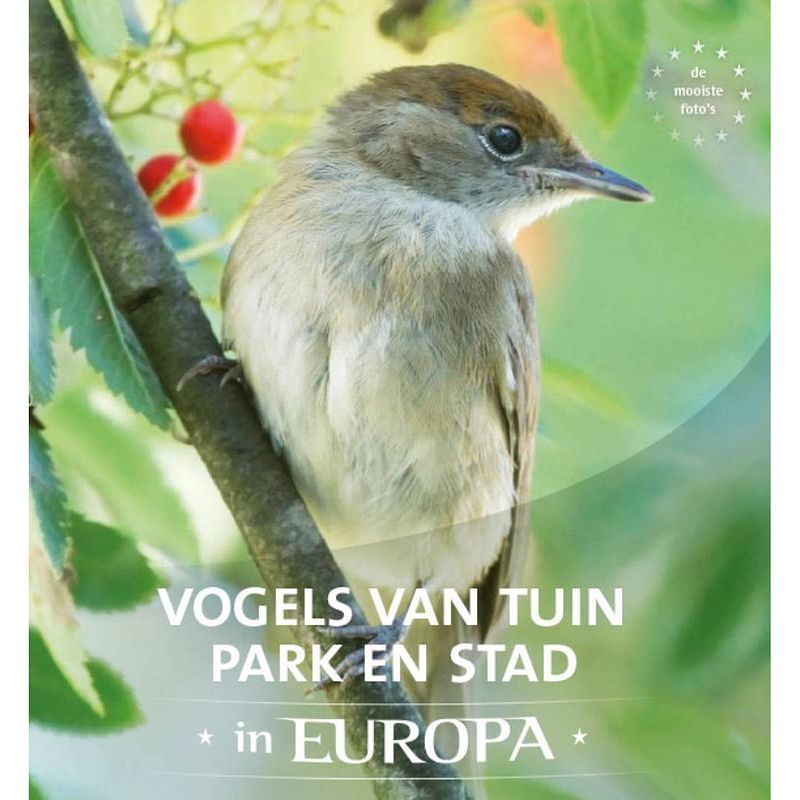 Foto van Vogels van tuin, park en stad in europa