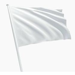 Foto van Witte vlag - om zelf tekst op te zetten of in te kleuren - 150 x 100 cm