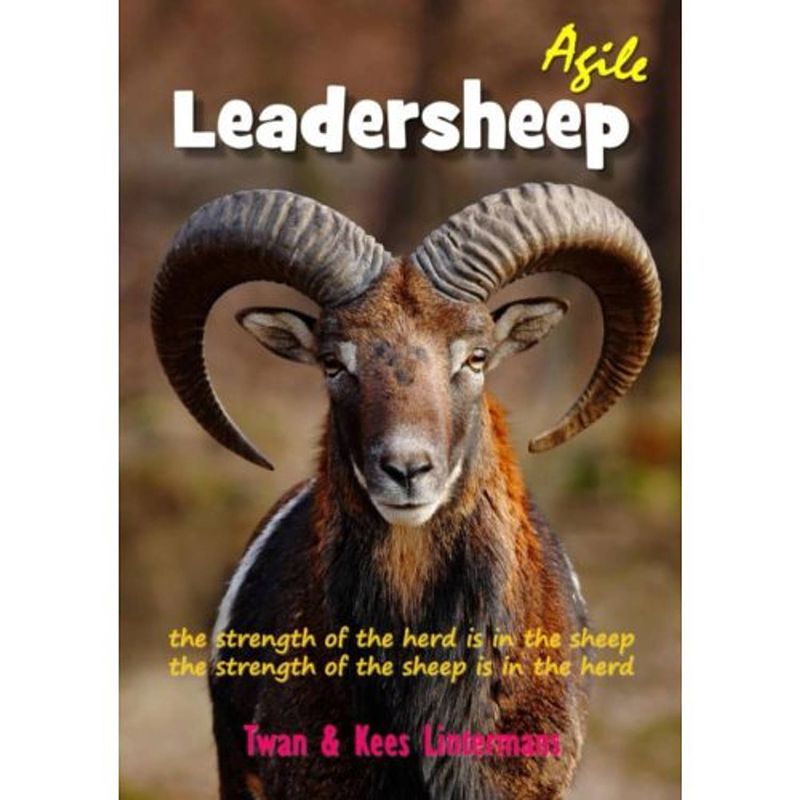 Foto van Agile leadersheep