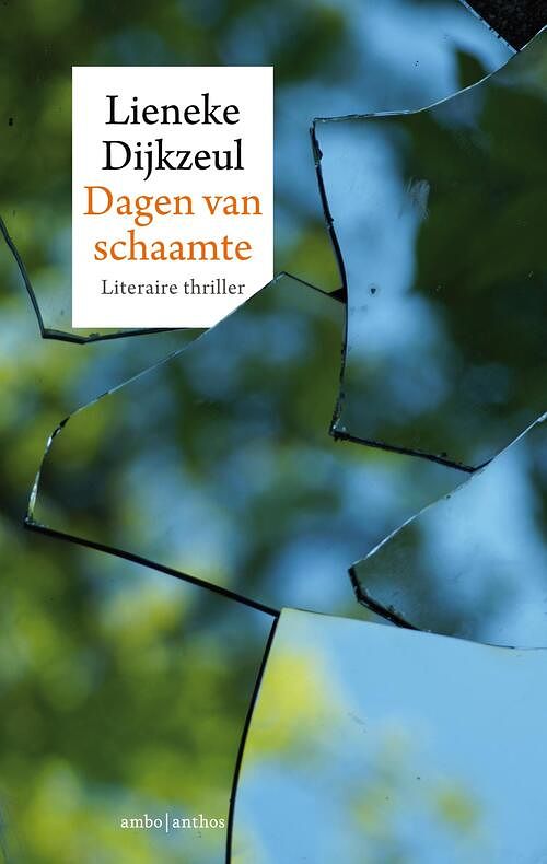 Foto van Dagen van schaamte - lieneke dijkzeul - ebook (9789026337161)