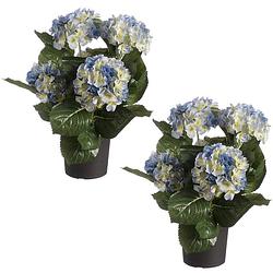 Foto van Set van 2x stuks blauwe hortensia kunstplanten in zwarte kunststof pot 44 cm - hydrangea - woondecoratie