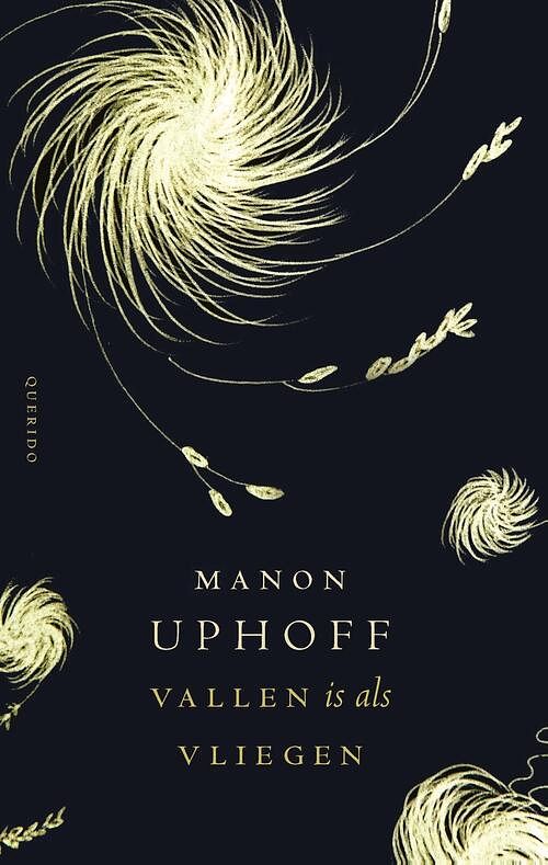 Foto van Vallen is als vliegen - manon uphoff - ebook (9789021408033)