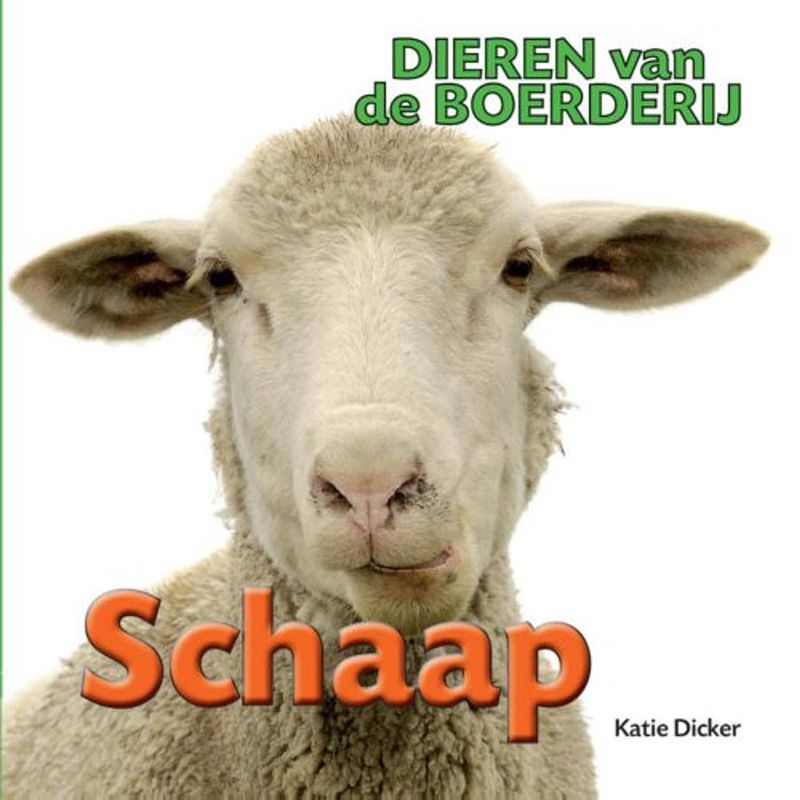 Foto van Schaap - dieren van de boerderij