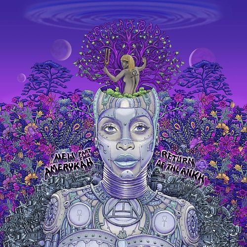 Foto van New amerykah part two - lp (0602435946078)