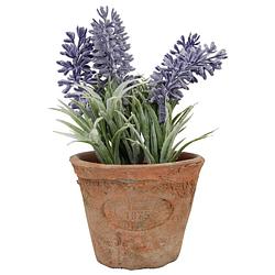 Foto van Kunstplant lavendel in terracotta pot 15 cm - kunstplanten