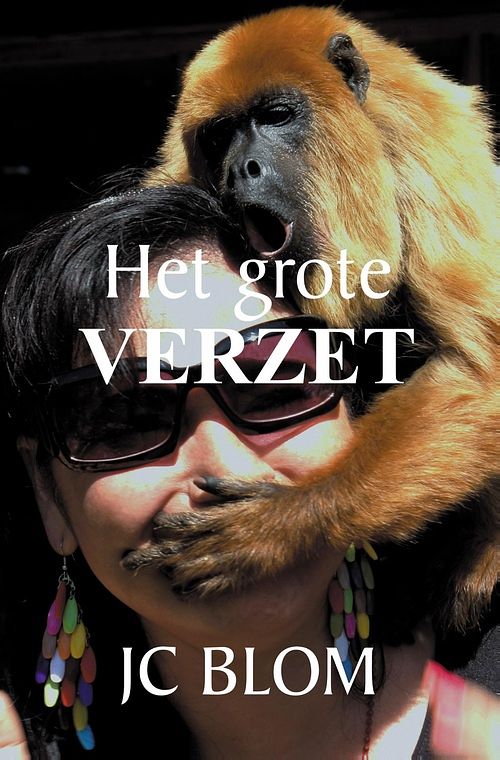 Foto van Het grote verzet - jc blom - ebook