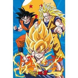 Foto van Gbeye dragon ball z 3 gokus poster 61x91,5cm