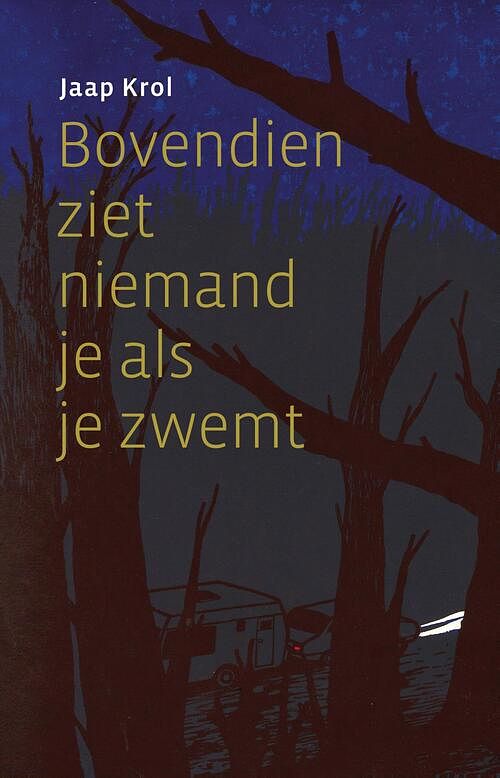 Foto van Bovendien ziet niemand je als je zwemt - jaap krol - ebook (9789493170575)