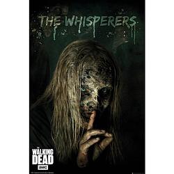 Foto van Gbeye the walking dead the whisperers poster 61x91,5cm