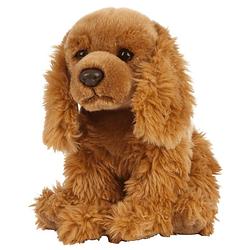 Foto van Pluche bruine cocker spaniel hond knuffel 20 cm - honden huisdieren knuffels - speelgoed voor kinderen