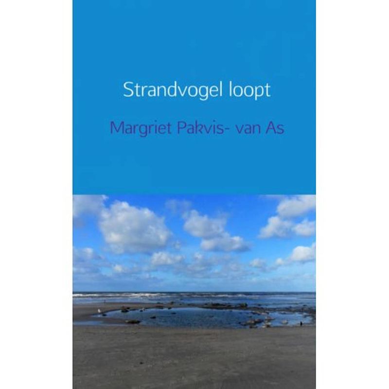 Foto van Strandvogel loopt