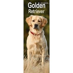 Foto van Golden retriever kalender 2023 slimline