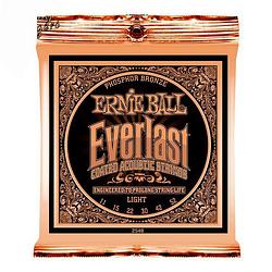 Foto van Ernie ball 2548 everlast coated phosphor bronze light snarenset