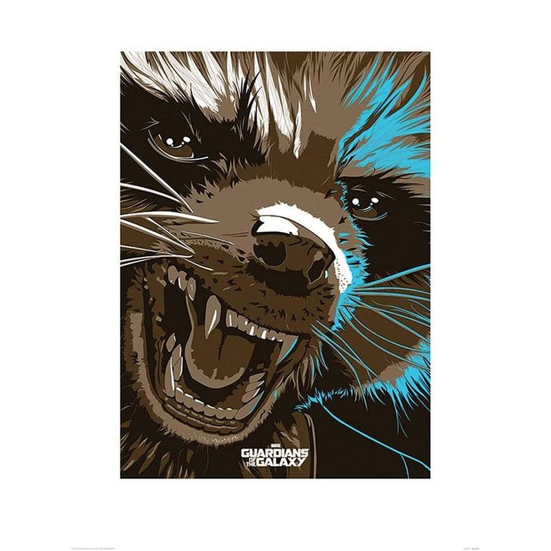 Foto van Pyramid guardians of the galaxy rocket raccoon kunstdruk 60x80cm