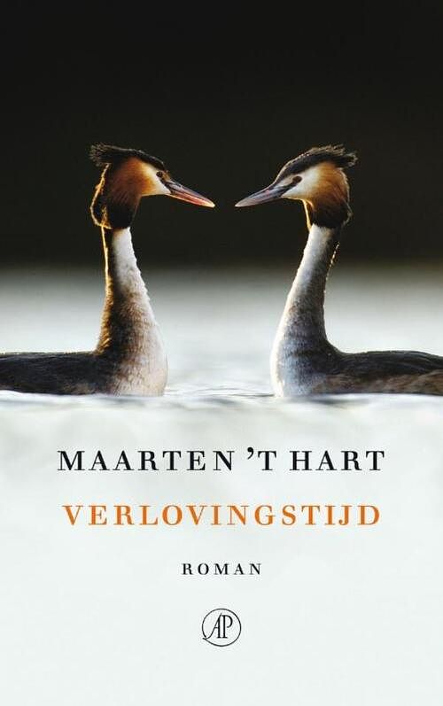 Foto van Verlovingstijd - maarten 'st hart - ebook (9789029568593)