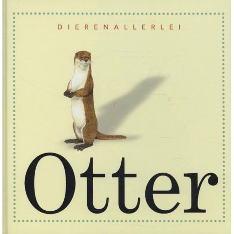 Foto van Otter - dierenallerlei