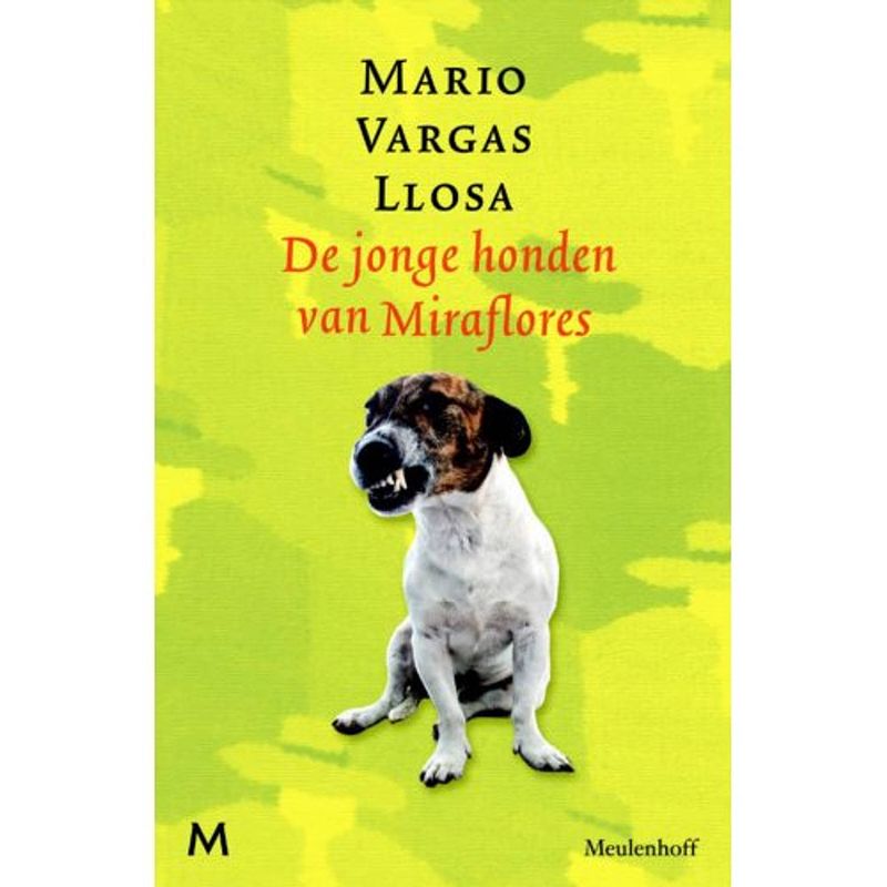 Foto van De jonge honden van miraflores