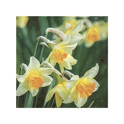 Foto van 40x gekleurde 3-laags servetten narcissen 33 x 33 cm - feestservetten