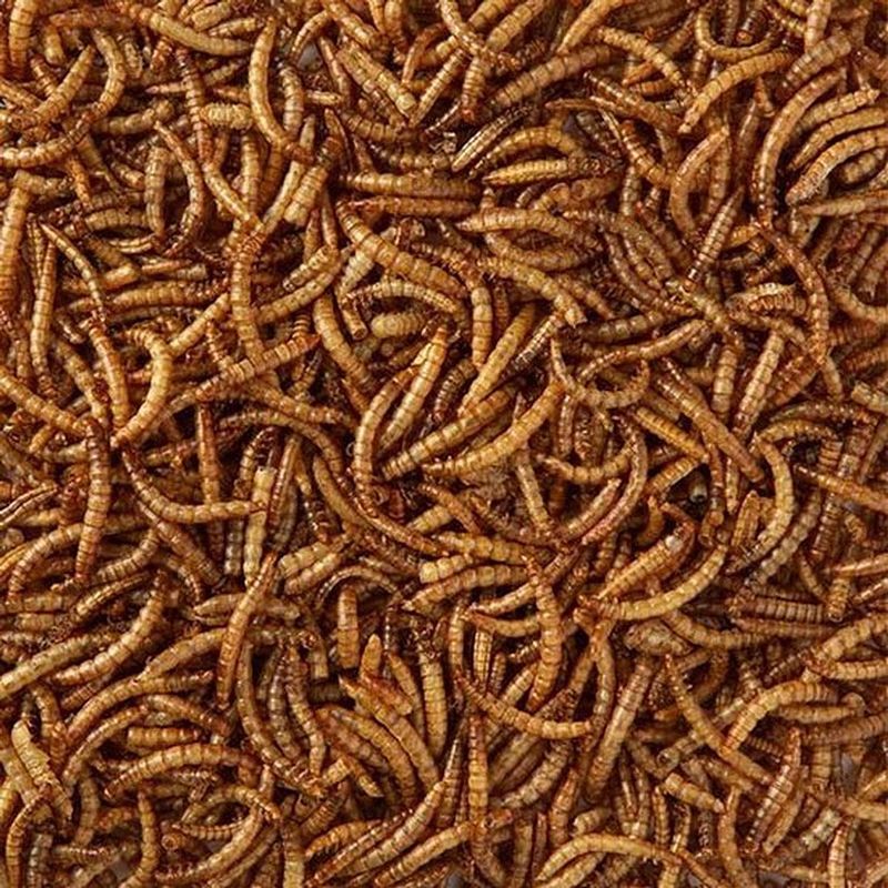 Foto van Topdiervoeding meelwormen gedroogd - 10 kg. - vogelvoer - 60 liter