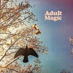 Foto van Adult magic - lp (2090405383905)