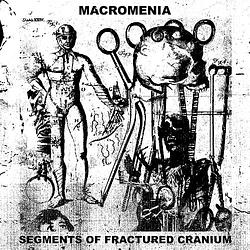 Foto van Segments of fractured cranium - cd (8592735011175)