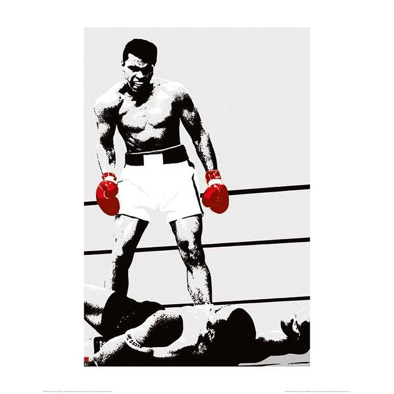 Foto van Pyramid muhammad ali gloves kunstdruk 40x50cm