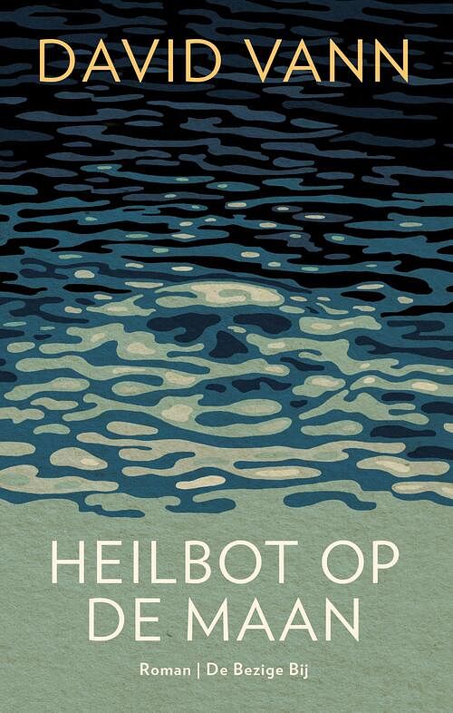 Foto van Heilbot op de maan - david vann - ebook (9789403154008)