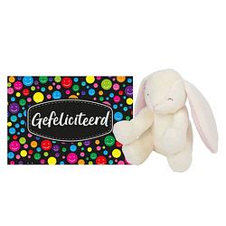 Foto van Pluche knuffel cadeau konijn 20 cm met a5-size gefeliciteerd wenskaart - knuffeldier