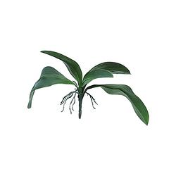 Foto van Kunst orchid leaves & roots lvs green - 35 cm