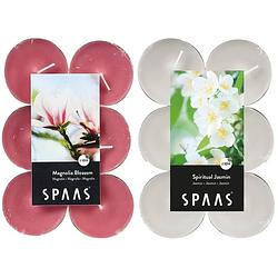 Foto van Candles by spaas geurkaarsen - 24x stuks in 2 geuren jasmin en magnolia flowers - geurkaarsen