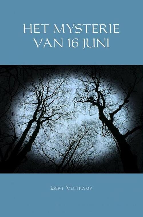 Foto van Het mysterie van 16 juni - gert veltkamp - ebook (9789402195286)