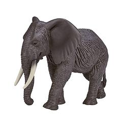 Foto van Mojo wildlife afrikaanse olifant 387189