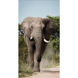 Foto van Tuindoek olifant 90x170 cm