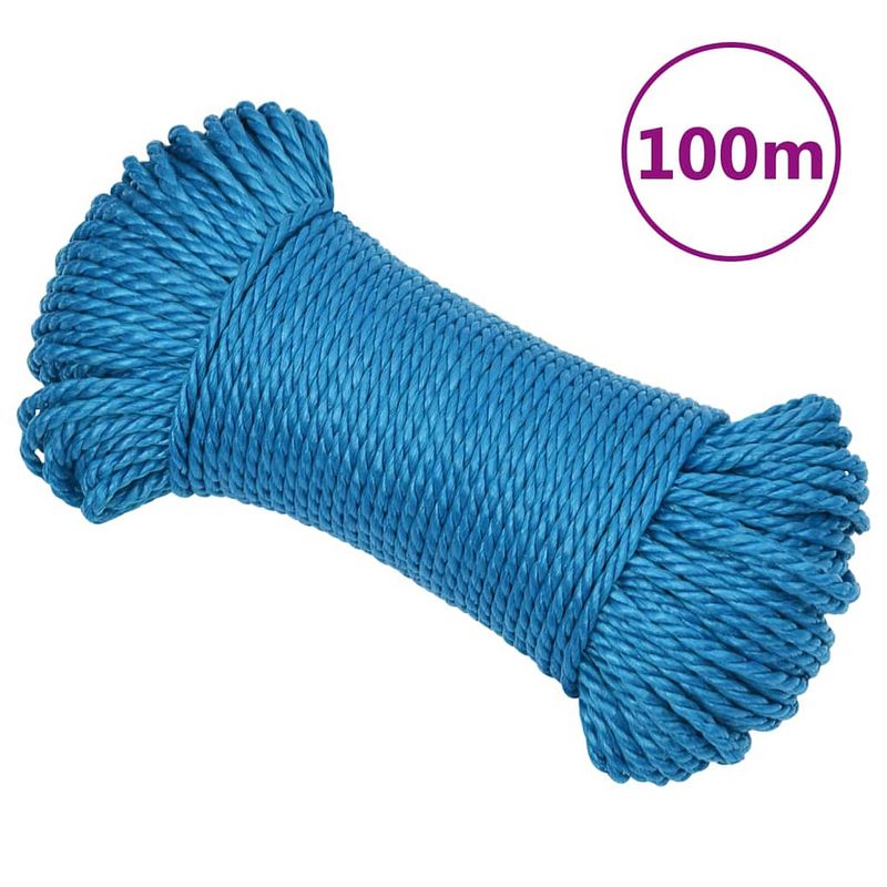 Foto van Vidaxl werktouw 6 mm 100 m polypropeen blauw