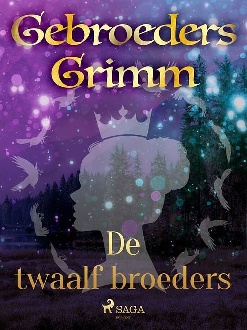 Foto van De twaalf broeders - de gebroeders grimm - ebook