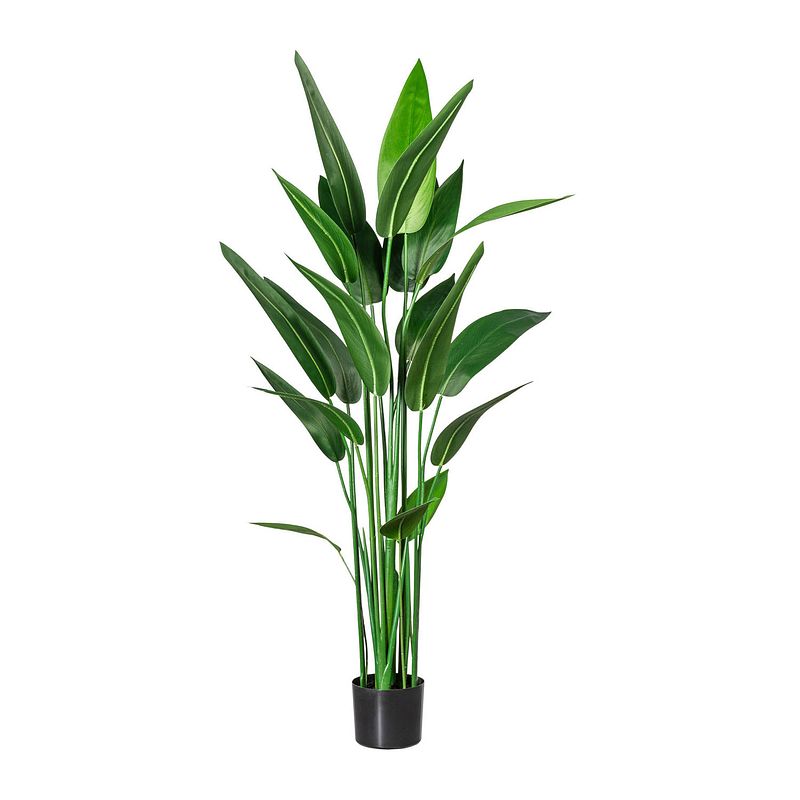 Foto van Kopu® kunstplant canna 140 cm 20 bladeren - in zwarte pot - bloemriet