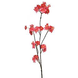 Foto van Prunus malaga spray red 84 cm kunstbloemen