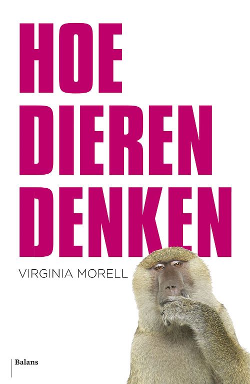 Foto van Hoe dieren denken - virginia morell - ebook (9789460036477)