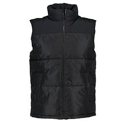 Foto van Heren bodywarmer