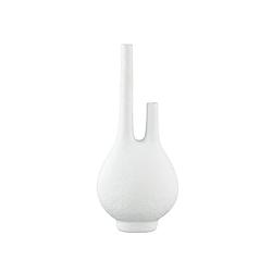Foto van Ptmd hann white polyresin vase two holes