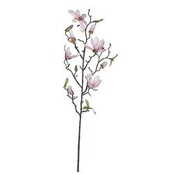 Foto van Magnolia beverboom kunstbloemen takken 80 cm decoratie - kunstbloemen
