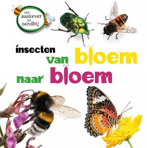 Foto van Insecten van bloem tot bloem - sarah ridley - hardcover (9789464392883)