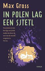 Foto van In polen lag een sjtetl - max gross - ebook (9789044932638)