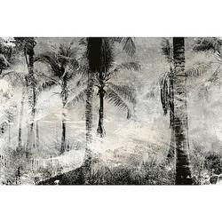 Foto van Dimex palm trees abstract fotobehang 375x250cm 5-banen