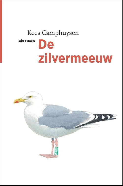 Foto van De zilvermeeuw - kees camphuysen - ebook (9789045036052)