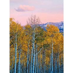 Foto van Wizard+genius birches and mountains vlies fotobehang 192x260cm 4-banen