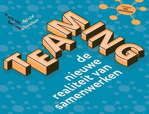 Foto van Teaming - hans van der loo, patrick davidson - paperback (9789462157835)