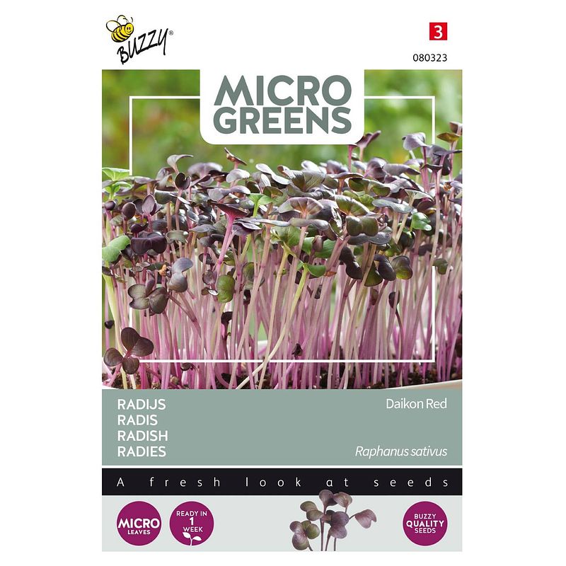 Foto van 5 stuks microgreens radijs (rood)